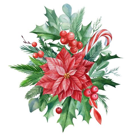 Christmas Composition Of Poinsettia Flower Leaves Red Berries Holly