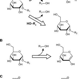 pH dependence of the β glucosidase catalyzed hydrolysis of pNPG at