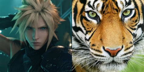 ff  zodiac age   youhoroscopecom