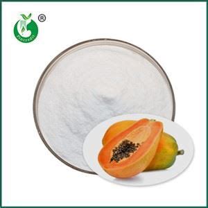 China Organic Papain Powder Manufacturers Suppliers Wholesale Bulk