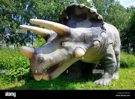 Three Horned Dinosaur Triceratops With Juvenile On A Clearing Stock