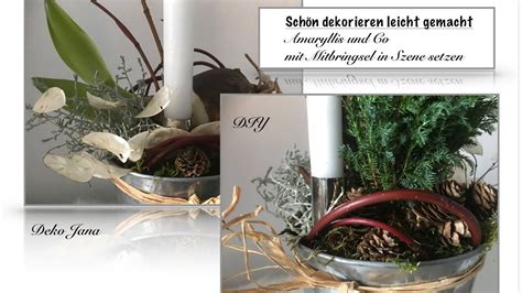 Diy Wohn Und Deko Idee Mit Mitbringsel Edel Dekorieren Amaryllis