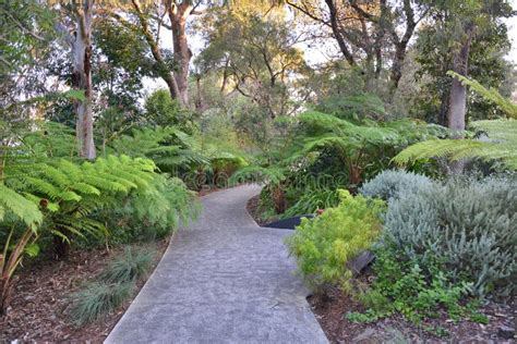 Kings Park Botanical Garden Stock Image Image Of Australia Western