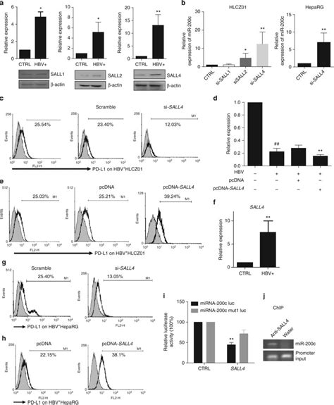 HBV STAT3 SALL4 Axis Inhibits MiR 200c Transcription A The MRNA And