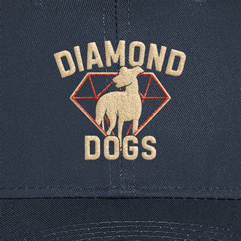 Ted Lasso Diamond Dogs Embroidered Hat – Warner Bros. Shop