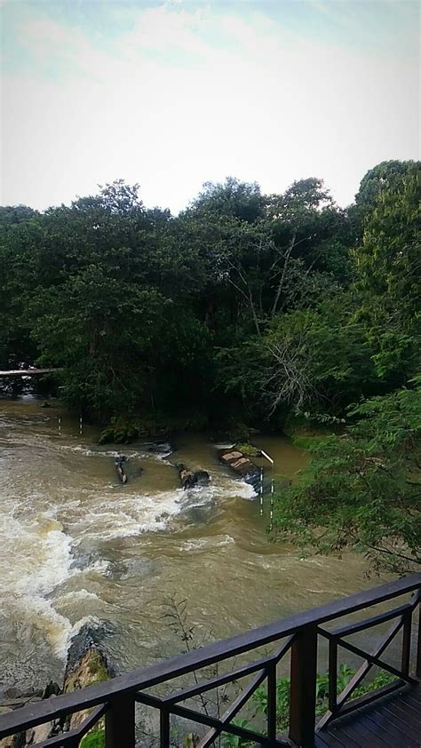 Rio Paraiba Do Sul Guararema Sp Brasil Rio Brazil