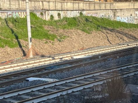 Treni Nodo Di Roma Circolazione Rallentata Per Guasto Alla Linea