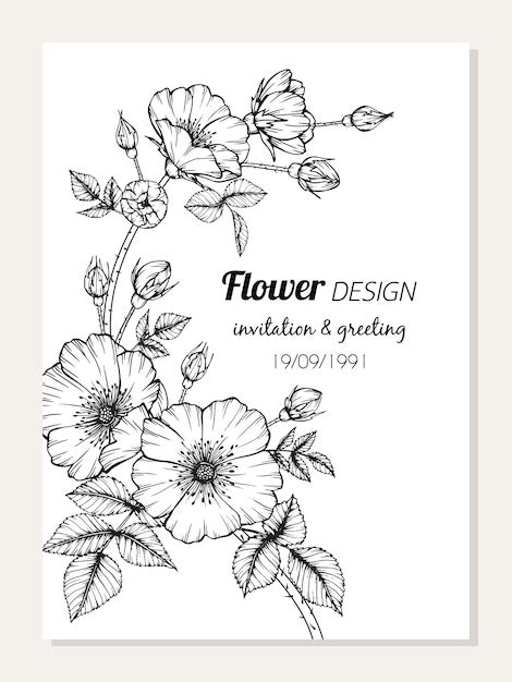 Simple Flower Designs For Pencil Drawing Borders Best Flower Site