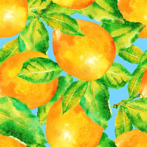 Watercolor Lemon Fruit With Leaves Seamless Pattern Stock Illustration Illustration Of