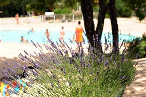 Campsite Alpes De Haute Provence Forcalquier Camping Naturiste Les Lauzons