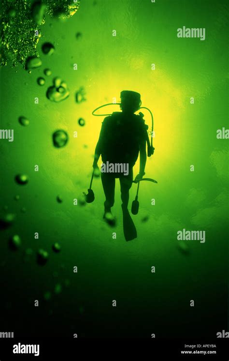 Under Water Scuba Diver With Bubbles Stock Photo Alamy