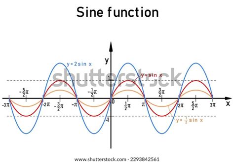 Three Specific Examples Graphs Sine Function Stock Vector (Royalty Free ...