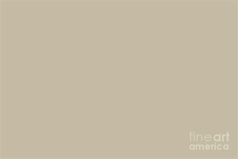 Beige Tan Light Brown Solid Color Pairs Ppg Dusty Trail Ppg1097 4 All