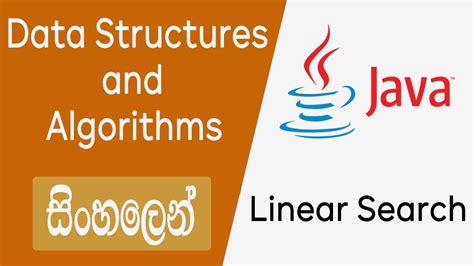 Linear Search Data Structures And Algorithms Sinhala Youtube