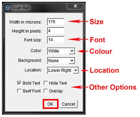 Affermare Ricevitore Contribuire How To Set Scale Bar In Imagej Un Po