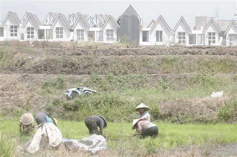 Atasi Ketimpangan Lahan Petani Koran Jakarta