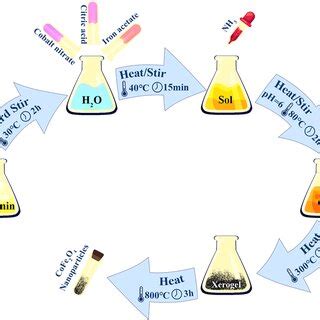 Schematic Of The Preparation Process Of Cofe O Nanoparticles