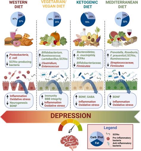 Mijail Tapia Md On Twitter Eje Intestino Cerebro Y Su Relaci N Con