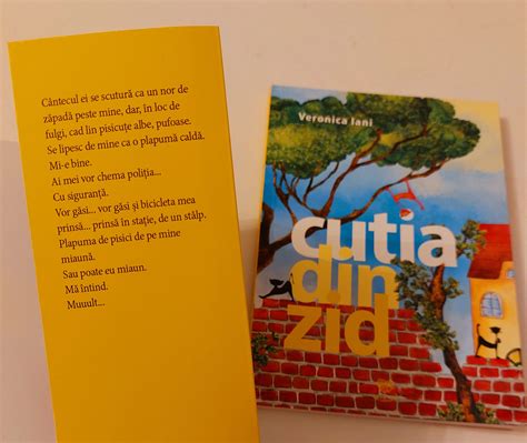 Veronica Iani - Provocare: Cine primește în casă o poveste cu multe