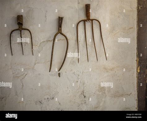 Pitchforks Hi Res Stock Photography And Images Alamy