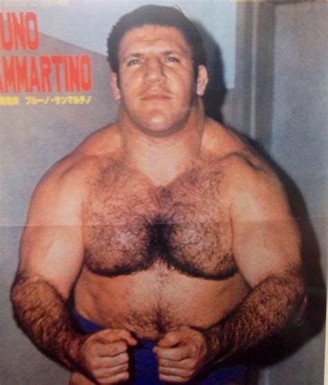 Bruno Sammartino Bruno Sammartino Professional Wrestling Wrestling