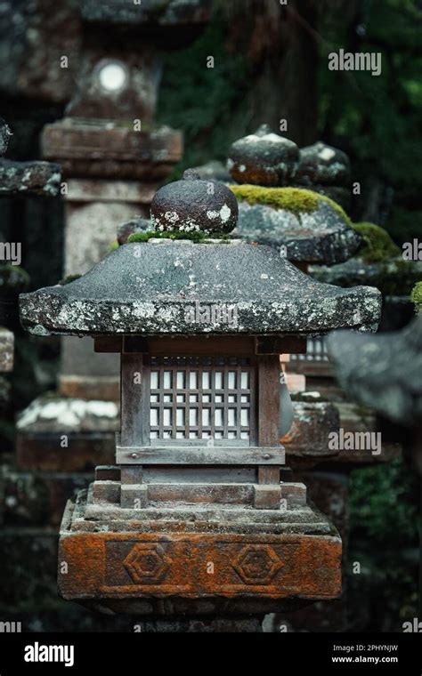 Stone temple lanterns at Kasuga Taisha, the Lantern Shinto shrine in ...