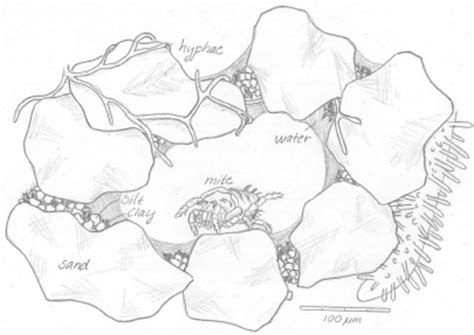 Soil Drawing At Explore Collection Of Soil Drawing