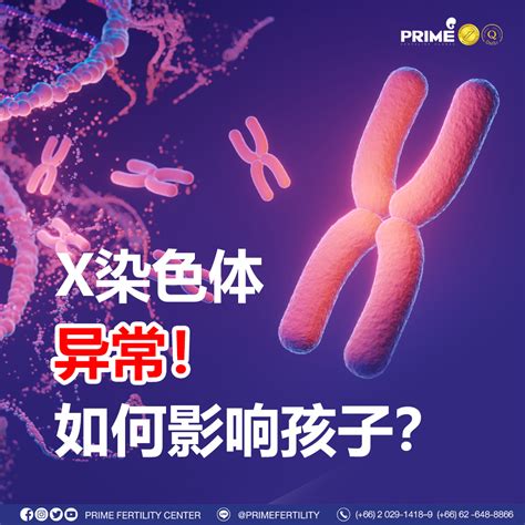 X染色体异常！如何伤害孩子？ 不孕不育 做第二代试管婴儿的价格