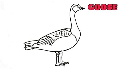 How To Draw A Goose Easy Animals Drawing Art Tutorial Youtube