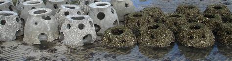 Oyster Reef Balls Tampa Bay Watch Inc