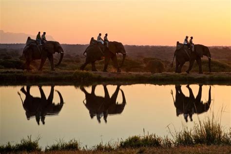 Elephant Ride, South Africa | Elephant trekking, Elephant ride, Safari ...