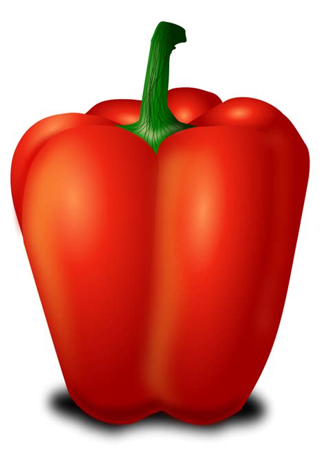 Free Habanero Cliparts Download Free Habanero Cliparts Png Images