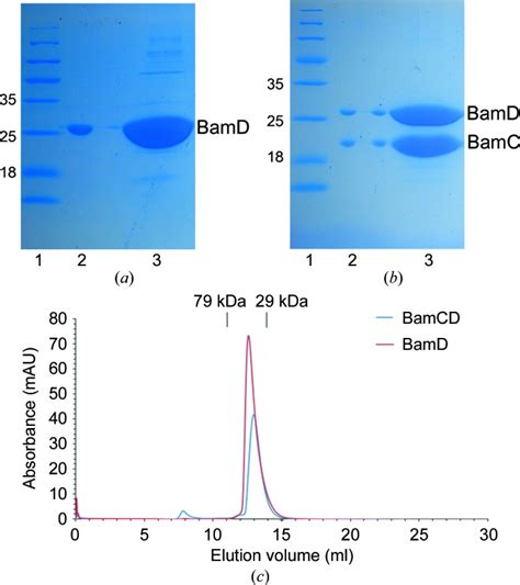 Recombinant Expression Purification Crystallization And Preliminary X