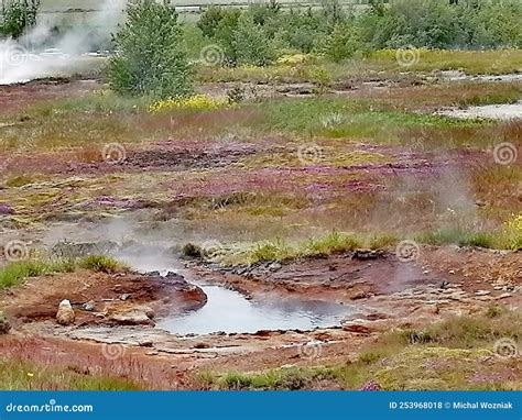 Geysir Geothermal Park Iceland Stock Photo Image Of South