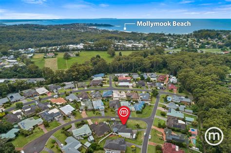 Black Bean Grove Ulladulla Nsw Mum Real Estate Milton