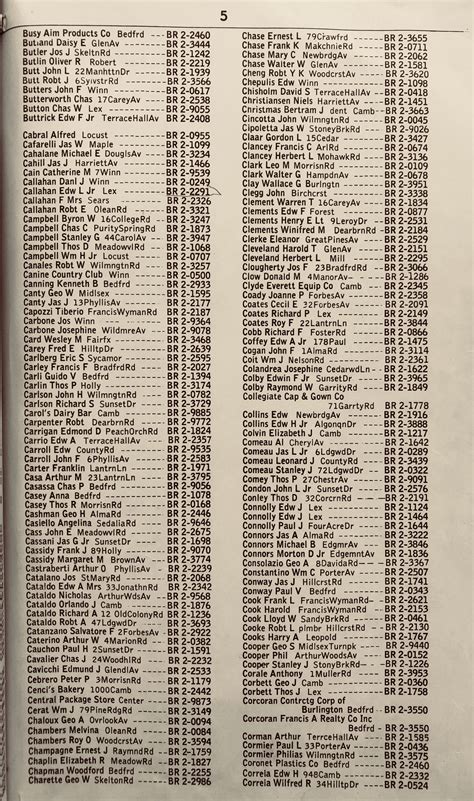 How to effectively use a modern US phone book lookup 11