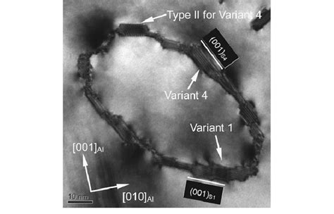 Tem Micrograph Observed From Al Showing The Configuration Of S