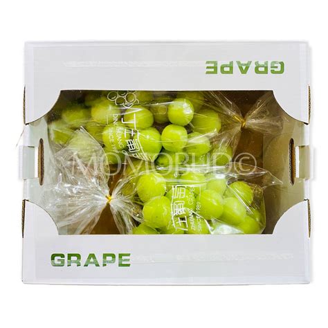 China Shine Muscat Grapes T Box 15kg — Momobud