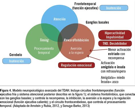 Déficit Atencional Tipos Y Tratamiento Iccsi