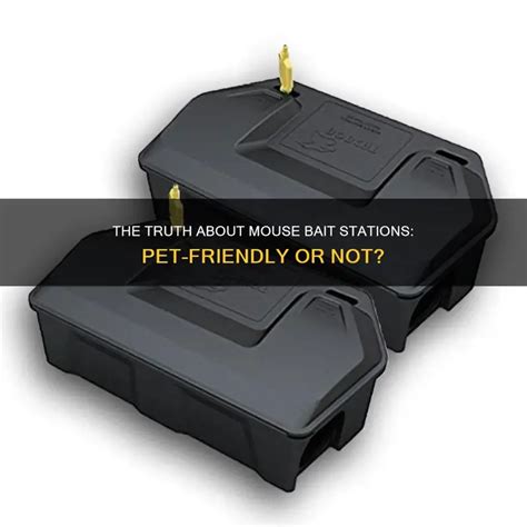 The Truth About Mouse Bait Stations: Pet-Friendly Or Not? | PetShun