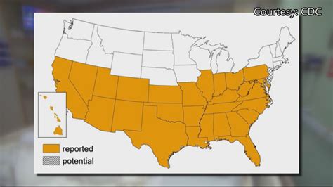 Disease-Carrying 'Kissing Bug' Has Made Its Way North, Including Pennsylvania, Delaware, CDC ...