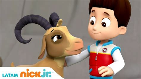 Paw Patrol Patrulla de cachorros Misión de rescate Nick Jr en Español