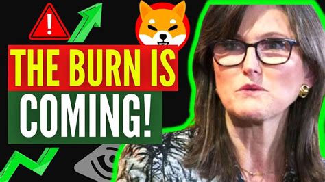 URGENT 100 TRILLION SHIBA INU COINS BURN IS COMING 20 OF SHIB