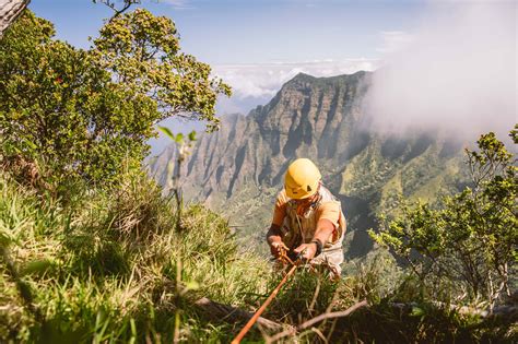 Extreme Botany: The Precarious Science of Endangered Rare Plants - Yale ...