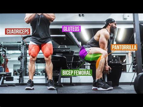 La Rutina Ideal Para Sacar Pierna Y Gluteos Gymtopz Youtube