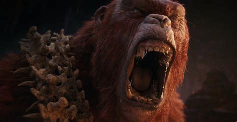 Godzilla Y Kong El Nuevo Imperio Fotos De Godzilla Y Kong El Nuevo