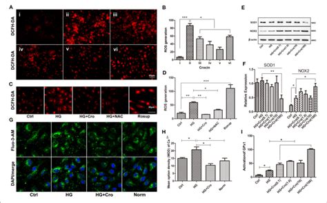 Effect Of Crocin On Ros Production Sod1 Nox2 And Gpx1 In