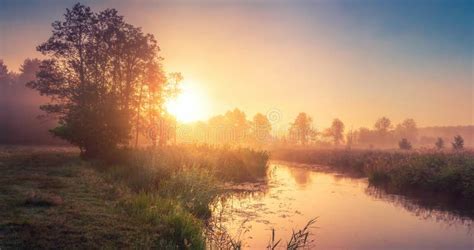 Spring Landscape at Sunrise Stock Photo - Image of pond, field: 136048622