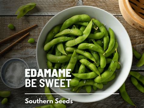 Edamame Be Sweet Soybean 20 Seeds Heirloom Vegetable Open Pollinated