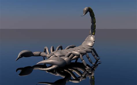 Scorpion 3d Model Rigged Obj 3ds Fbx Abc